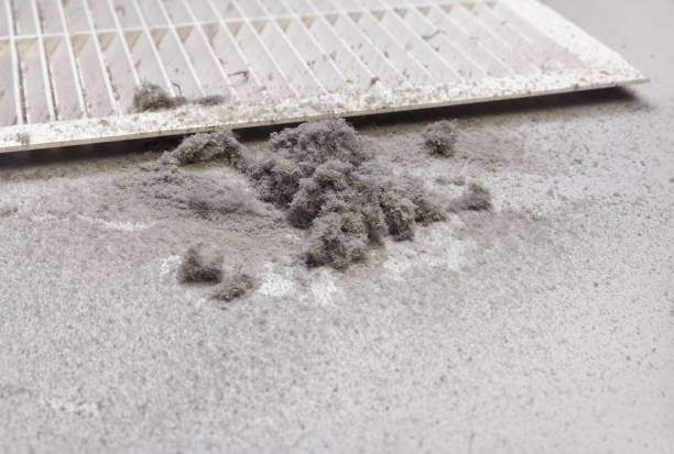 Best Affordable Duct Cleaning Services  in Lakeview, MI