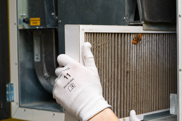 Best Air Duct Cleaning Near Me  in Lakeview, MI