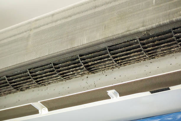 Best Home Air Vent Cleaning  in Lakeview, MI