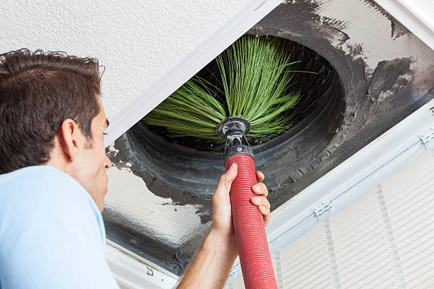Best Best Air Duct Cleaning Company  in Lakeview, MI