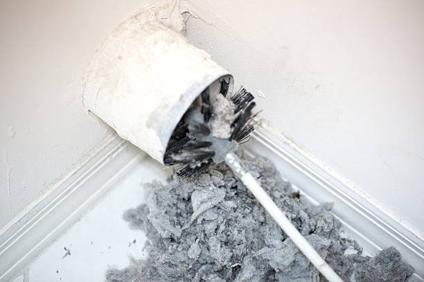 Best General Air Duct Cleaning  in Lakeview, MI