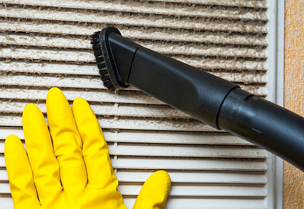 Best HVAC System Cleaning  in Lakeview, MI